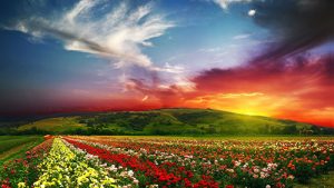 bible timeline, war timeline, timeline of the bible, chronology of the bible, Defeat at Hormah, Numbers 14, Deuteronomy 1, Amalekites and Canaanites